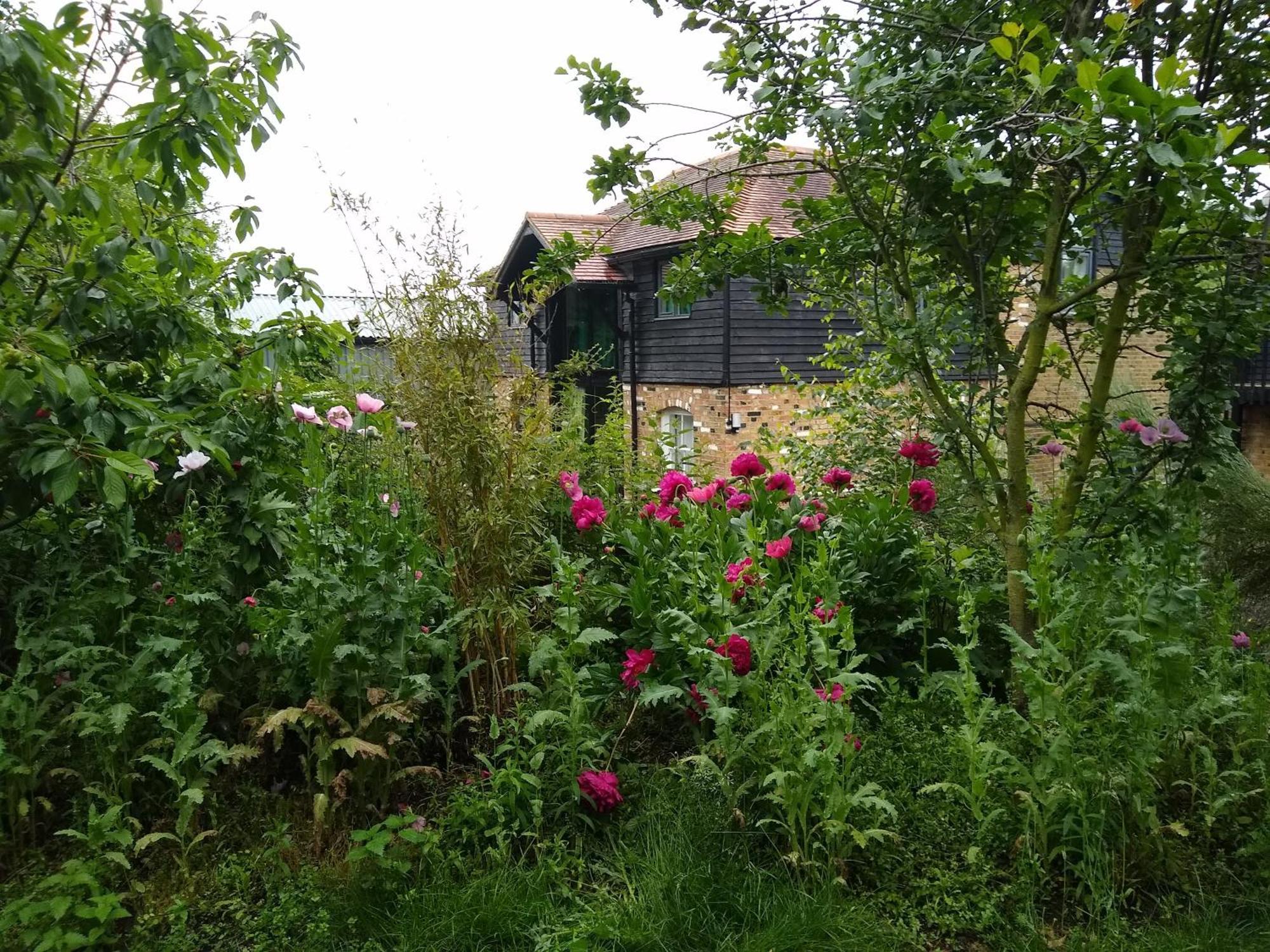 Watercress Barns Appartement Sittingbourne Buitenkant foto