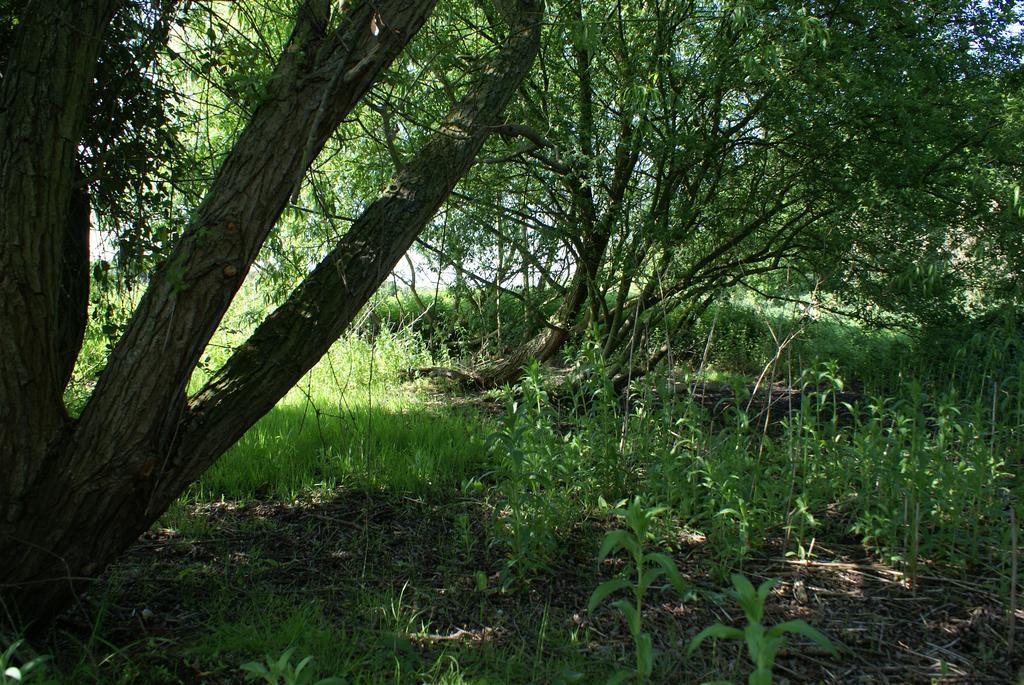 Watercress Barns Appartement Sittingbourne Buitenkant foto