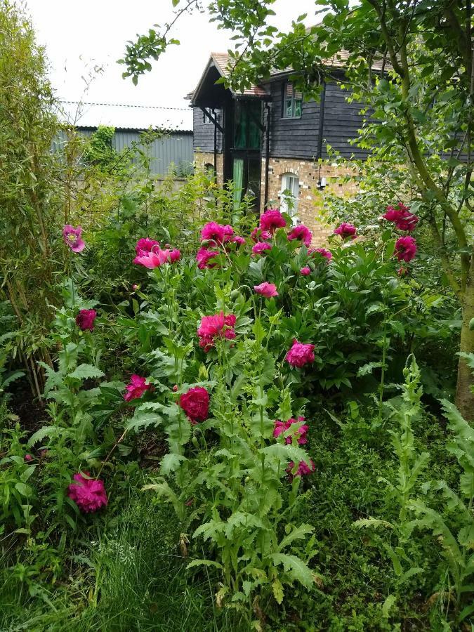 Watercress Barns Appartement Sittingbourne Buitenkant foto